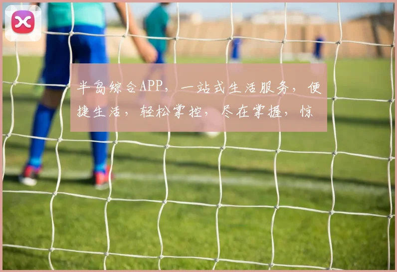 半岛综合APP，一站式生活服务，便捷生活，轻松掌控，尽在掌握，惊喜不断