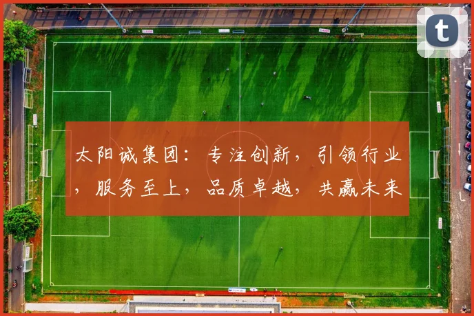太阳诚集团：专注创新，引领行业，服务至上，品质卓越，共赢未来
