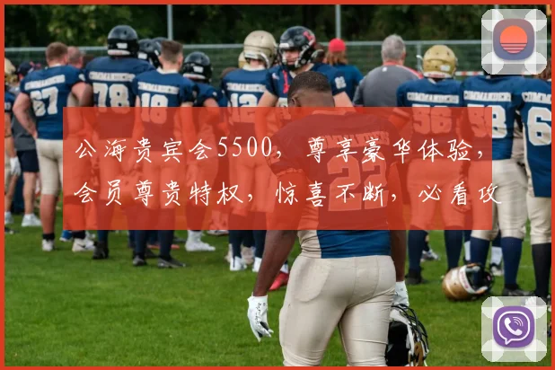 公海贵宾会5500，尊享豪华体验，会员尊贵特权，惊喜不断，必看攻略，一网打尽
