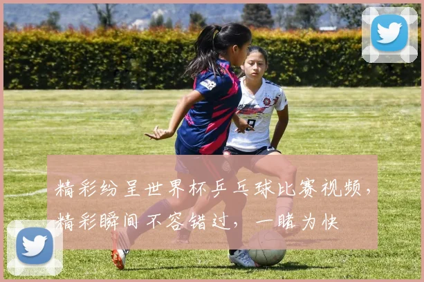 精彩纷呈世界杯乒乓球比赛视频，精彩瞬间不容错过，一睹为快